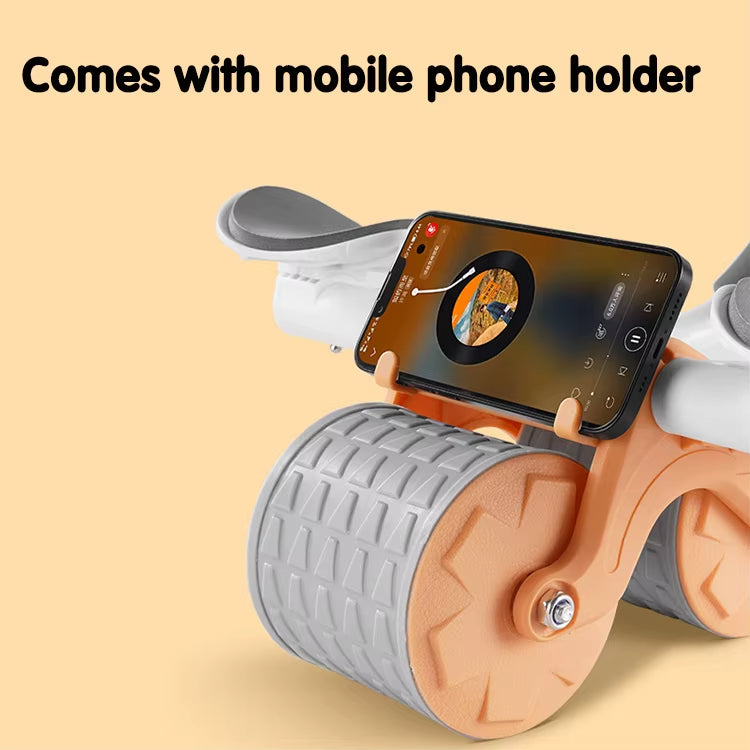 Gym Abdominal Fitness Equipment